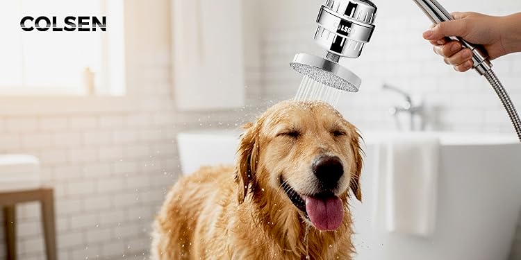 Shower filter replacement