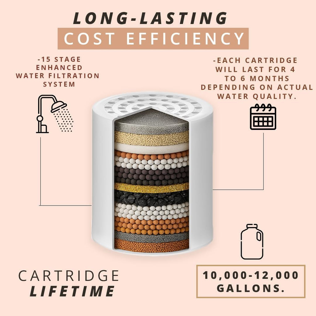 Shower filter replacement