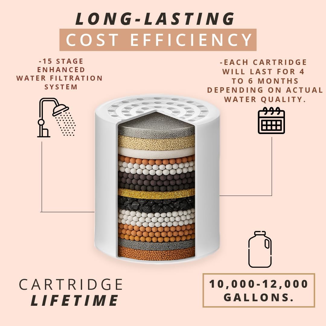 Shower filter replacement