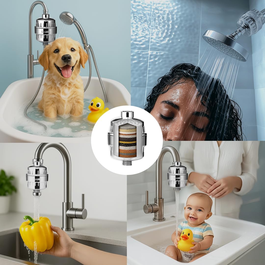 Shower filter replacement