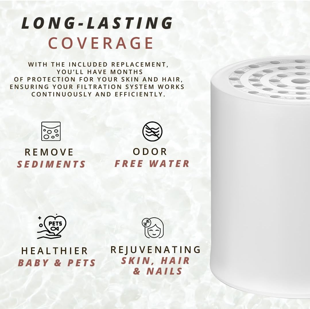 Shower filter replacement